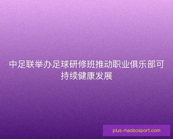 中足联举办足球研修班推动职业俱乐部可持续健康发展